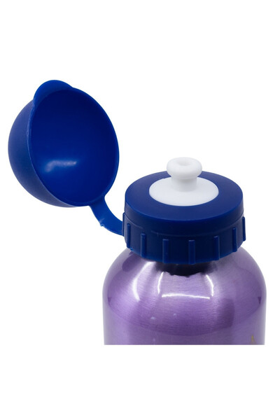 Frozen Water bottle, for children, made of aluminum, BPA-free, multicolor, 400 ml, Frozen, Disney