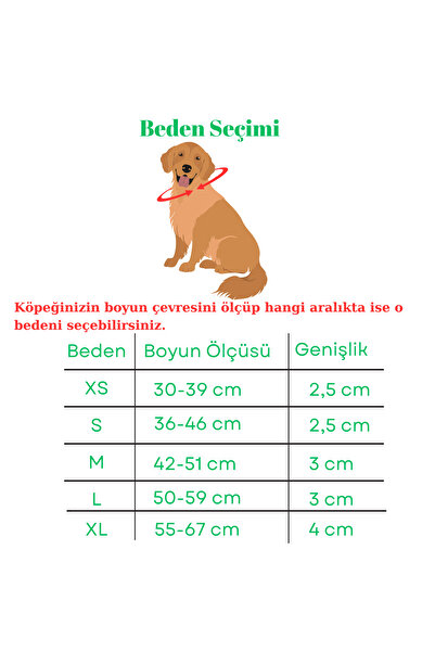 Bakani Leather Kişiye Özel Köpek Isimli Boyun Tasması, Hakiki Vejetal Deri, Paslanmaz Çelik, XL GÜÇLÜ KÖPEKLER İÇİN