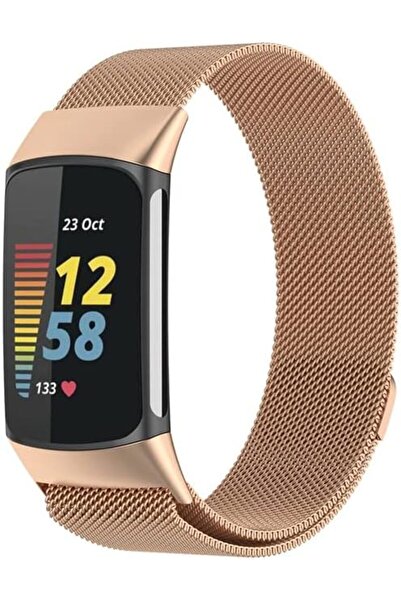O Ozone Metal Bands Compatible with Fitbit Charge 6 / Charge 5 Smart Watch