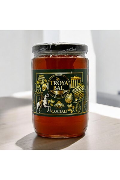 TROYA ARICILIK GIDA Troya Çam Balı 850 g