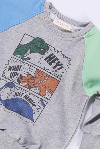 Bondberro Boy's Sweatshirt 100% Cotton