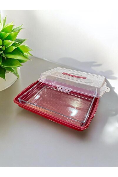Silkyreal Kilitli Kapaklı Kek Börek Pasta Saklama Taşıma Kabı Borcam - Kek Fa...