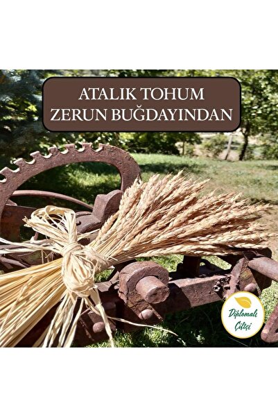 Diplomaliciftci Ata Tohumu Zerun Tam Buğday Unu (4kg)