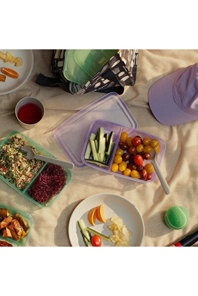 IKEA PRUTA Sandwich container with lid, lilac/green