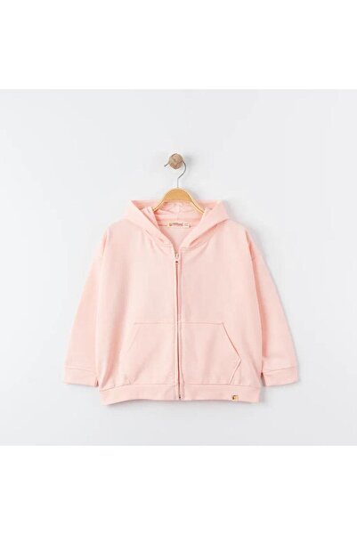 Tiffany Oversized Tracksuit Theme Hooded Zippered Sweatshirt