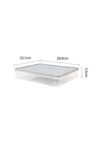 devigo Deep Freezer Storage Container – with Lid – Transparent, Bpa-Free, Leakproof 3L Gray
