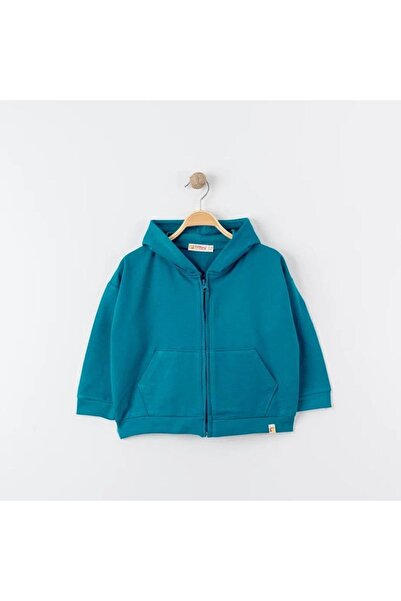 Tiffany Oversized Tracksuit Theme Hooded Zippered Sweatshirt