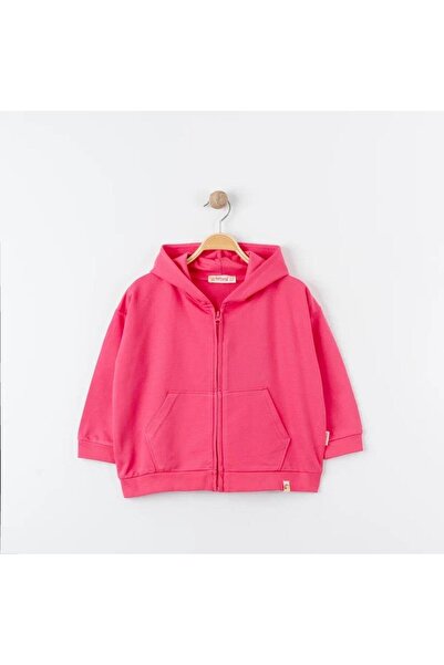 Tiffany Oversized Tracksuit Theme Hooded Zippered Sweatshirt