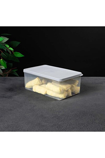 devigo حاوية تخزين عميقة للتجميد – مع غطاء – شفافة، خالية من مادة BPA، مقاومة للتسرب، سعة 2.1 لتر، لون أزرق داكن