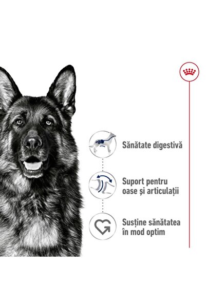 Royal Canin Hrană uscată Royal Canin Maxi Adult pentru câini adulți de talie mare, 15 kg