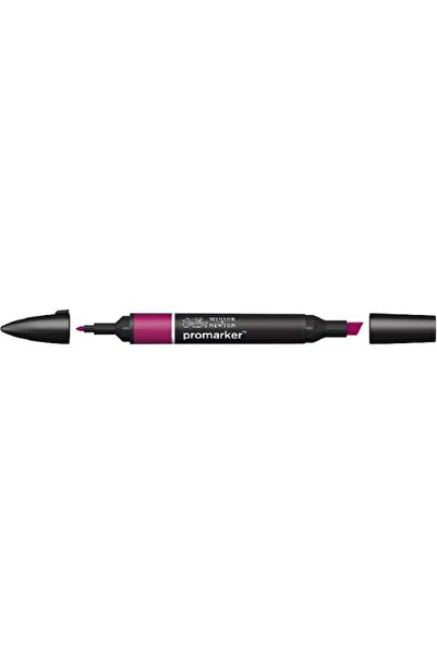 Winsor Newton ProMarker Neon Graphic Art Marker for Creative Projects