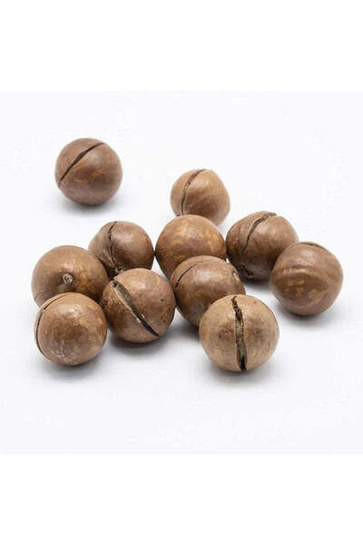 Nuts Fresh Macadamia with Shell(1kg)