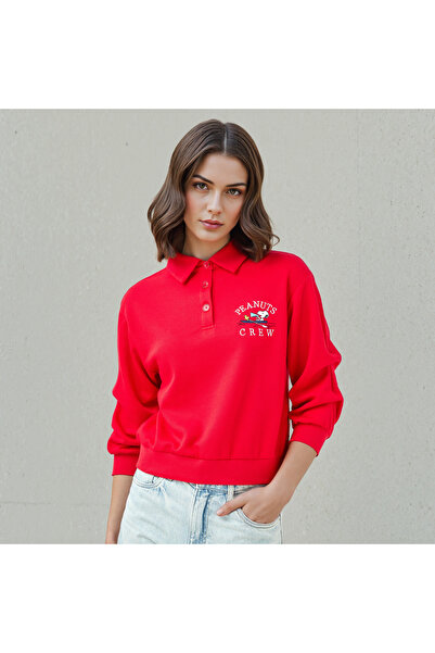 SP Characters Chr L Sweatshirt With Chest Embroidery