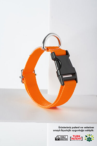 pasiole Dog Collar, Dog Collar, Adjustable, Sturdy Dog Collar