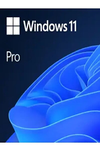 MICROSOFT Windows 11 Pro 2025