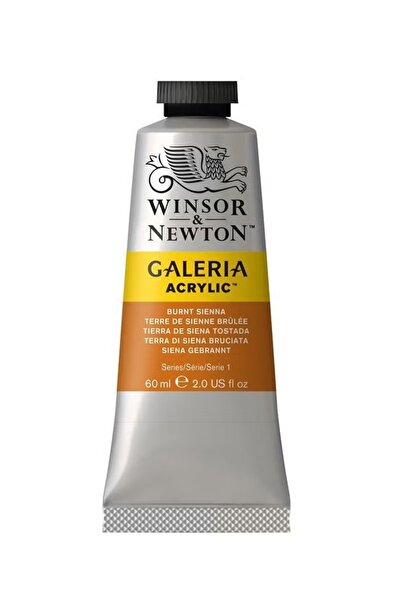 Winsor Newton Galeria Acrylic Multi Color Naples