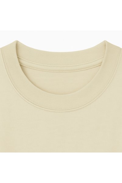 Altair Tr Oversize Beige Unisex Taylor Swift Mirrorball Printed T-Shirt