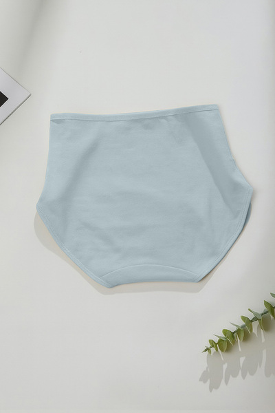 REYNEV Super Absorbent Ultra Hygienic Blue Menstrual Panties, Effective All Day and Night Leak-Proof Menstrual Panties