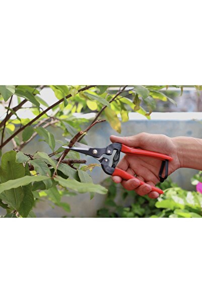 HWASHIN مقص شجر للتقليم كوري P-170