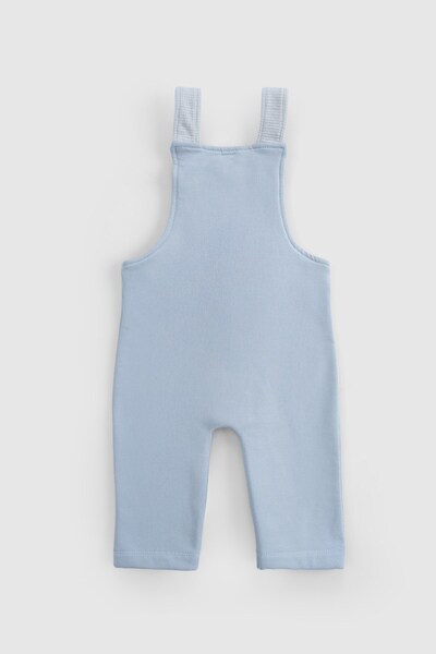 Little Gusto Organic Cotton Baby Salopet with Fluffy Inside Blue