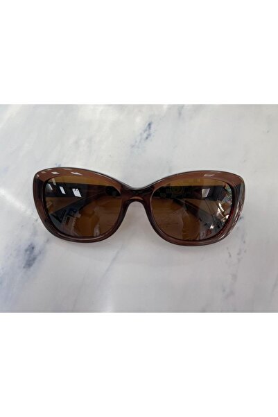 EVOKE Copanhagen C.08 55Ekt Women's Polarized Sunglasses (Transparent Brown/Black Stem)