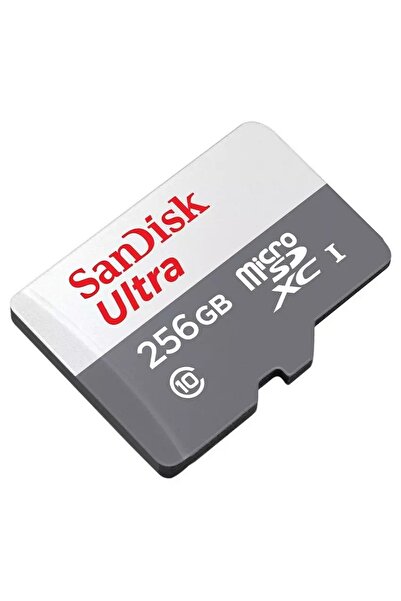 SanDisk Memory Card, 256GB, Grey and White