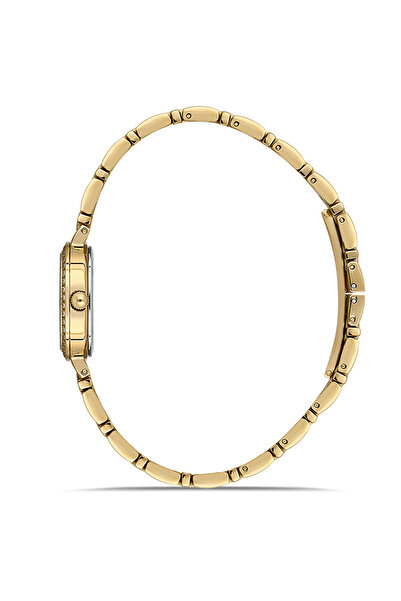 Hislon Ql187G-15Sg Women's Wristwatch