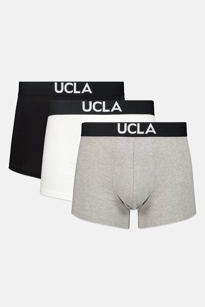 UCLA Men Brand Logo 3 Pack Boxer Trunks, Multicolor