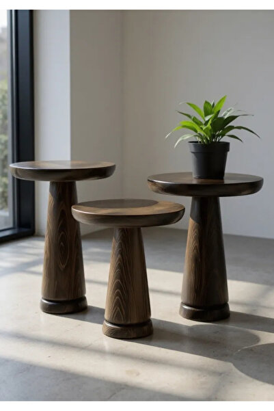 ASELYA HOME Doğal Ahşap 3’lü Set Mantar Yan Sehpa Modern Ceviz Renk Fiskos Zi...