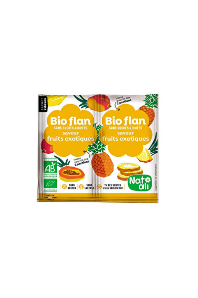 JollyMag Budincă de fructe exotice, 2 x 4g, Nat-ali