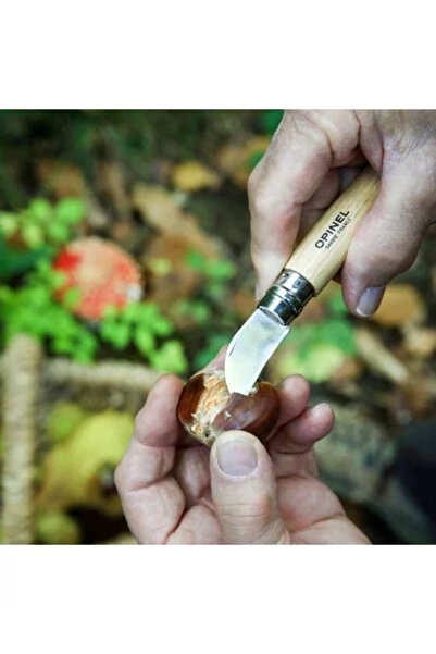 Opinel Pocket Knife N°07, stainless steel, 4 cm, 'Nomad Cooking'