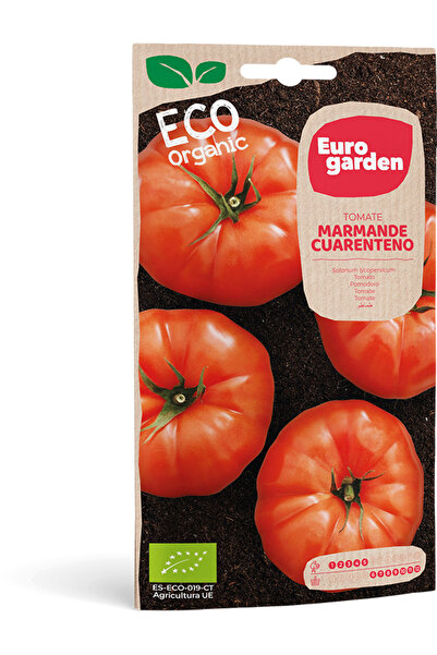 EURO GARDEN بذور طماطم مارماند عالية الجودة (صنع في إسبانيا)