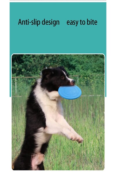 TİNEKE Dayanıklı Silikon Frizbi Köpek Oyuncağ Esnek ve Güvenli Yakalama Oyunu Diski 17.5 cm 1 ADET