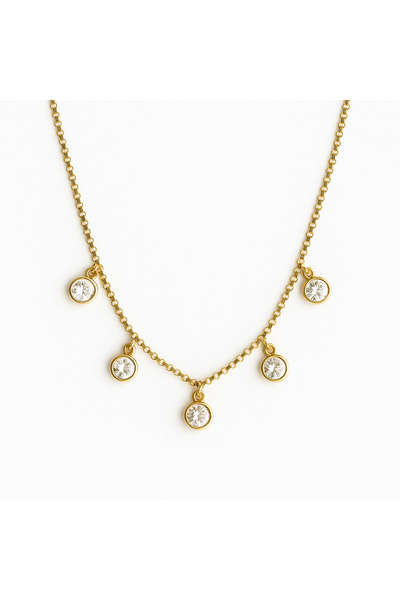 Venus Design Çelik Raven Kolye