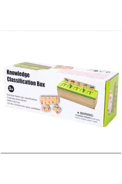 ANGMAD Joc educativ Montessori cuvinte in engleza, ANGMAD, realizat din lemn