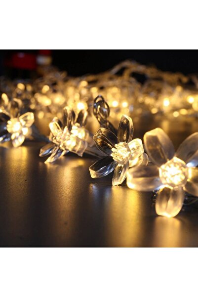 Flippy Solar Outdoor Christmas Lights 6.5m, 30 LED Cherry Blossom Warm White (Flippy)