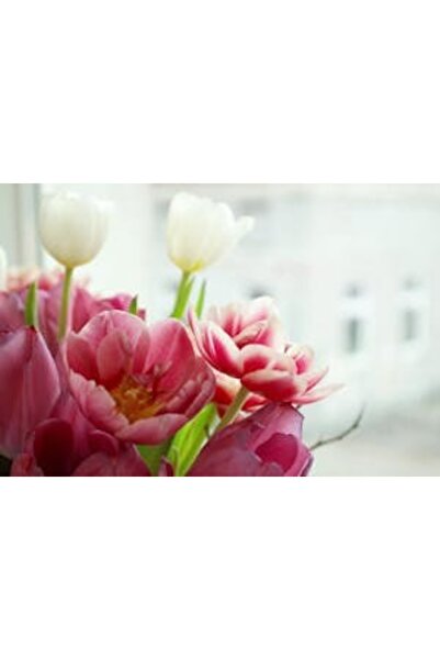 OEM Декоративна стенна картина с дървена рамка, 33см x 24см, изображение 2296