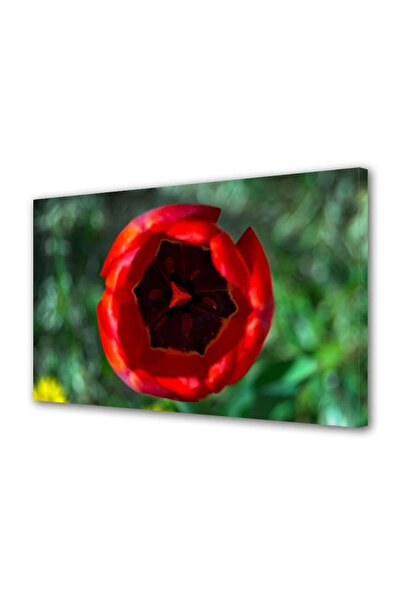 OEM Tablou decorativ, de perete, cu rama din lemn, 33cm x 24cm,cu flori1275