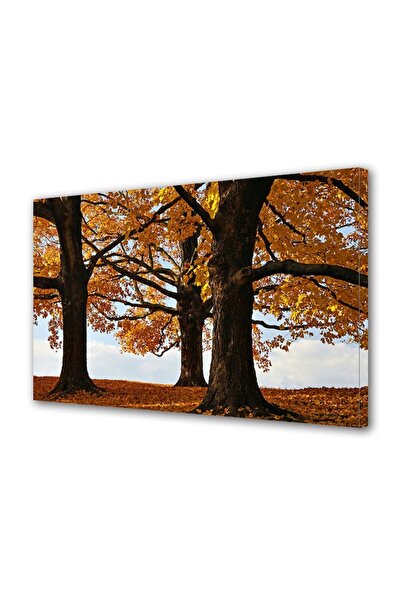 OEM Tablou decorativ, de perete, cu rama din lemn, 33cm x 24cm,cu flori1771