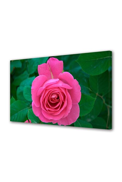 OEM Tablou decorativ, de perete, cu rama din lemn, 33cm x 24cm,cu flori1603