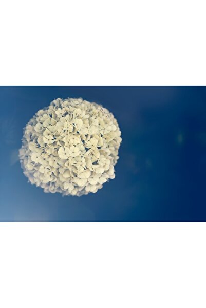 OEM Tablou decorativ, de perete, cu rama din lemn, 33cm x 24cm, imaginea 2375