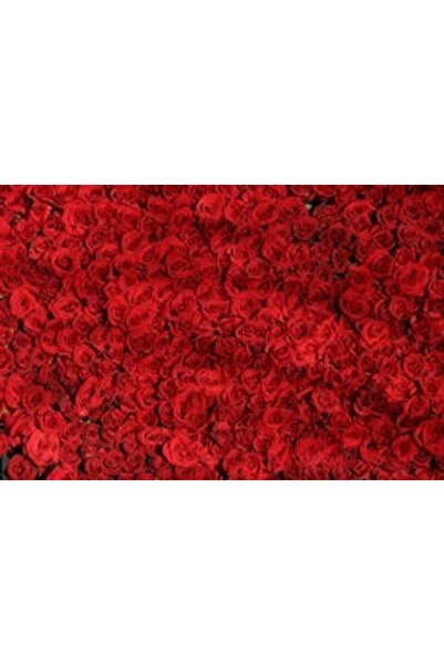 OEM Διακοσμητική επιτοίχια ζωγραφική με ξύλινο πλαίσιο, 33cm x 24cm, εικόνα 2264