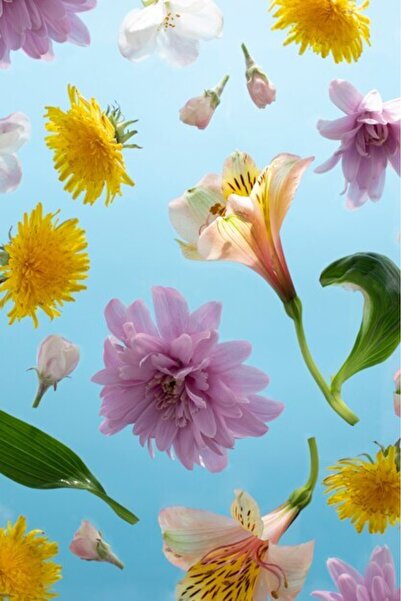 OEM Διακοσμητική επιτοίχια ζωγραφική με ξύλινο πλαίσιο, 33cm x 24cm, εικόνα 2427