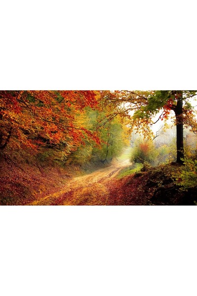 OEM Tablou decorativ, de perete, cu rama din lemn, 33cm x 24cm, cu flori2149