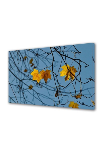 OEM Tablou decorativ, de perete, cu rama din lemn, 33cm x 24cm,cu flori2055