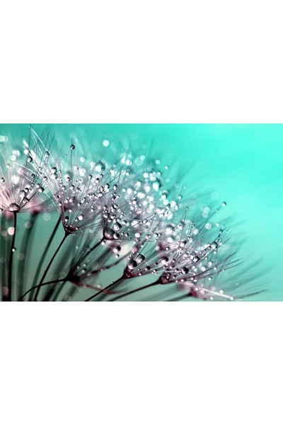 OEM Tablou decorativ, de perete, cu rama din lemn, 33cm x 24cm, cu flori2162