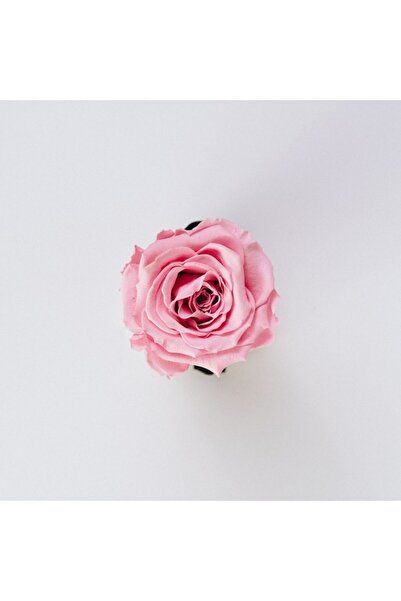 OEM Διακοσμητική επιτοίχια ζωγραφική με ξύλινο πλαίσιο, 33cm x 24cm, εικόνα 2171