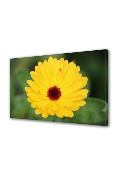 OEM Tablou decorativ, de perete, cu rama din lemn, 33cm x 24cm,cu flori1371