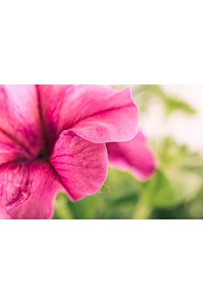 OEM Διακοσμητική επιτοίχια ζωγραφική με ξύλινο πλαίσιο, 33cm x 24cm, εικόνα 2233