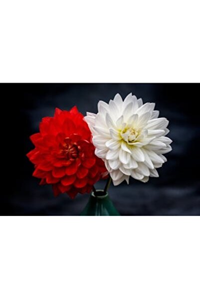 OEM Διακοσμητική επιτοίχια ζωγραφική με ξύλινο πλαίσιο, 33cm x 24cm, εικόνα 2077